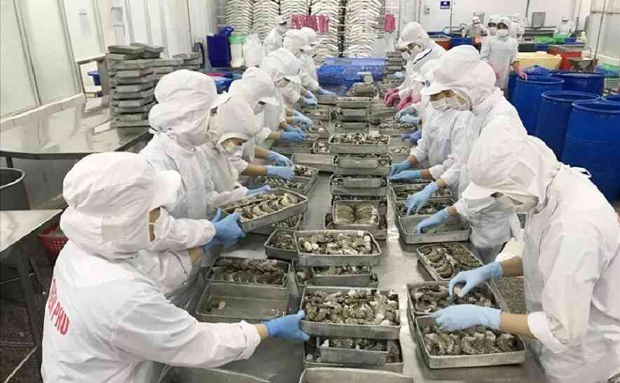 Xuất khẩu lao động Nhật Bản - Nhóm ngành chế biến thủy sản